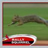 St. Louis Sports Nutt profil fotoğrafı