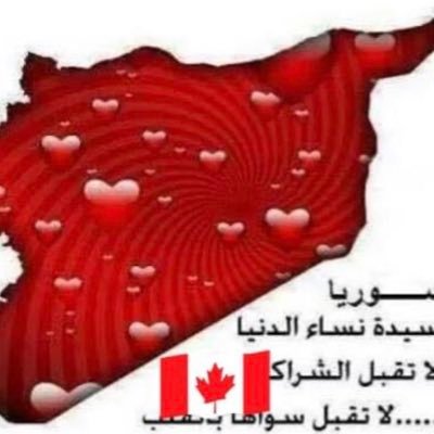 ali24846's profile picture