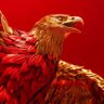 xpinheiro profil fotoğrafı