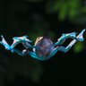 Фото профиля Wetzelrad