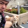 Big.Aとポメとスピッツとポメとポン's profile picture