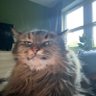 __'s profile picture