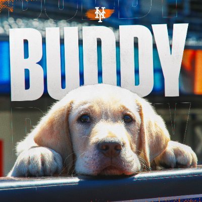 Buddy's profile picture