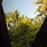 Lizandra Menezes's profile picture