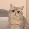 Profilbild von xNeko