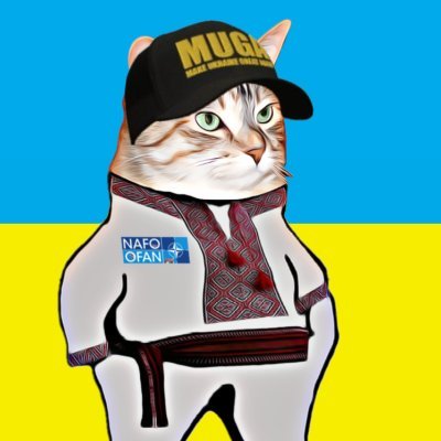 ∞ Decolonize ruzzia 😼's profile picture