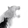 Jack江 profil fotoğrafı