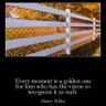 Profilbild von A Plus Fence Wholesale