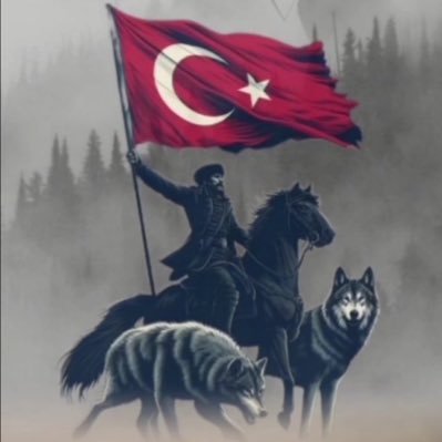 Bozkurtlar Milli Duruş 🇹🇷's profile picture
