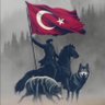 Profilbild von Bozkurtlar Milli Duruş 🇹🇷