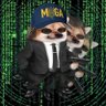BigBad 的头像