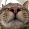 Profilbild von yuvi