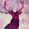 Profilbild von ghosteroven_part2