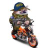 1290 SuperDukeFella 🇦🇺🇺🇦's profile picture