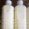 peternak susu kambing jatim 的头像