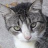 🌷🌷🐱 Teté 👠's profile picture