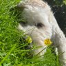 Profilbild von Winn Rose