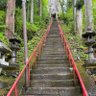Nagai Hiroaki 的头像