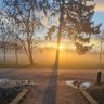 Profilbild von Sunlight Fessehaie