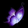 ᱬdahlia🦋's profile picture