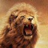 Profilbild von GalatasaraySarısı Kırmızısı