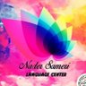 نادر سامری's profile picture