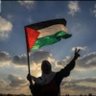 Free Palestine!! 🇵🇸💜 from the river to the sea profil fotoğrafı