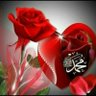 fras ameen mohammed 的头像