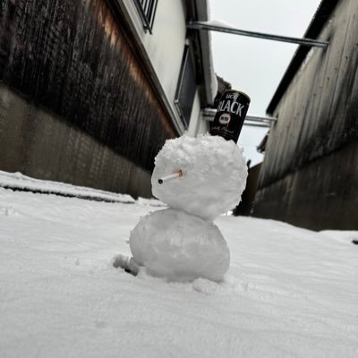 社ふ⁺²⁹⁷'s profile picture
