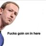 Steve's profile picture