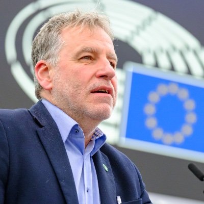 Luděk Niedermayer's profile picture