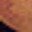 Cafe Madriz's profile picture