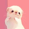 こと@AIマスター🐿 profil fotoğrafı