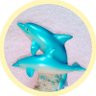 やまちゃん🐬🌈✨'s profile picture