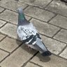 Profilbild von 空