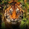 விசுவநாதன்❤️'s profile picture