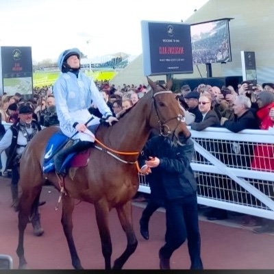 Taylr 🐎's profile picture