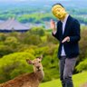 あをにまる🦌's profile picture