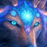 BorealTempest- 的头像