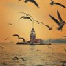 ali yılmaz profil fotoğrafı