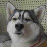 Liam's profile picture