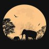 gomboh's profile picture