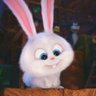 +aks "The OG bunny"🌷🤍🦌🐬's profile picture