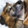 ん's profile picture