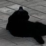 いちご's profile picture