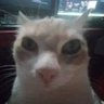 Profilbild von amiin?