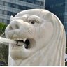 トイワ profil fotoğrafı