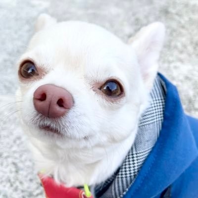 hamachi710's profile picture