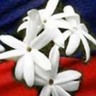 mercime's profile picture