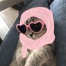 minstnrlsy44's profile picture